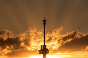 Euromast in vlammen van Dennis Vervoorn