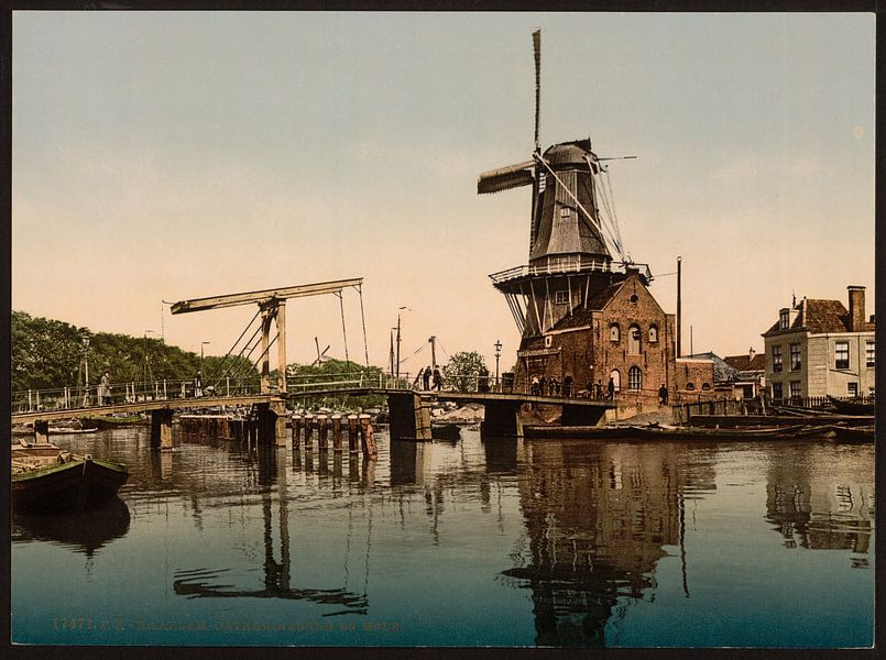 Catharijnebrug, Haarlem von Vintage Afbeeldingen