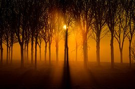 Zonsopkomst in Uitgeest van Yvonne van der Meij