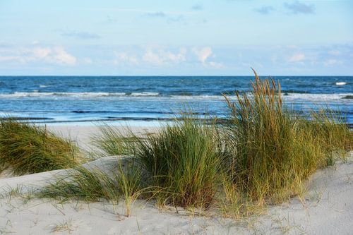 North Beach Zingst