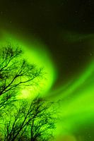 Noorderlicht Noorwegen Lofoten