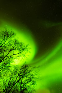 Noorderlicht Noorwegen Lofoten