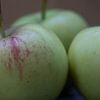 Groene appels van Cobi de Jong