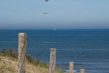 Strandopgang met de zee op de achtergrond van Rianne Ouwerkerk