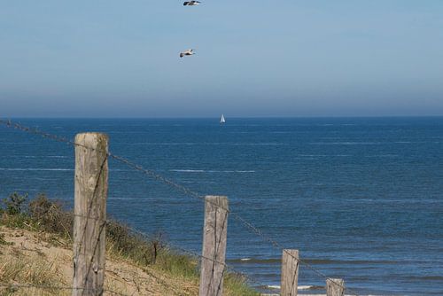 Strandopgang met de zee op de achtergrond
