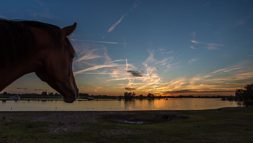 Sunsetlover von Michel de Koning