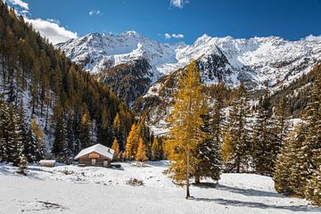 Arntal boven de Unterstalleralm, Oost-Tirol, Oostenrijk van Christian Müringer