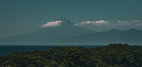 The sacred mountain: Mount Fuji above the forests of Izu