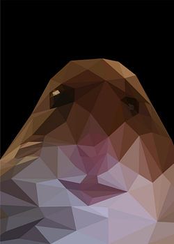 starrender Hamster Meme