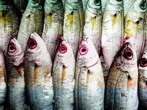 Fish, and nothing but Fish by Marja van den Hurk