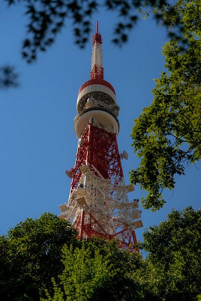 Tokyo by Hello Pompoyo