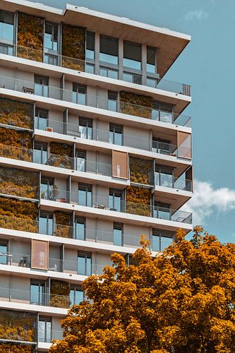 Verticale tuinen in Erfurt