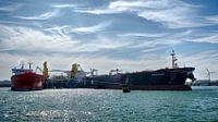 Haven Rotterdam