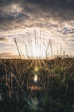 Coucher de soleil sur le Veluwe II sur Colin van Wijk