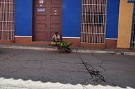 Trinidad, Cuba van Kramers Photo thumbnail