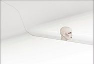 Minimalistisch wit met hoofd van Marcel van Balken thumbnail