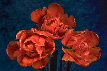 Tulpen-Trio von Bart Uijterlinde