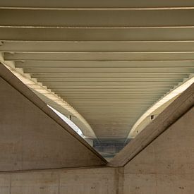 Under the bridge by Nathalie van der Klei