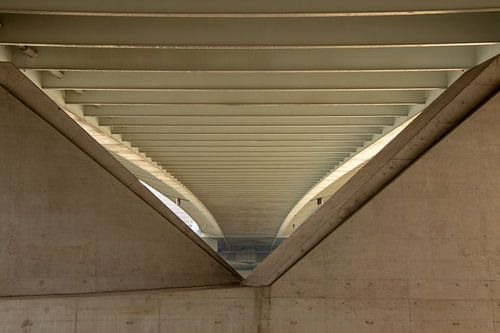 Under the bridge