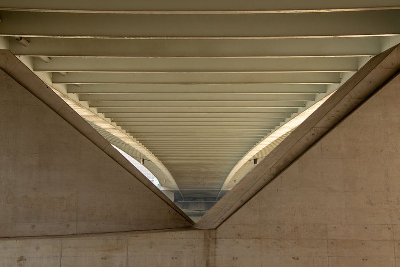 Under the bridge by Fromm me pictures