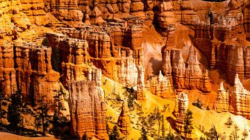 beautiful rock formation with hoodoos at Bryce Canyon National Park in Utah USA by Dieter Walther