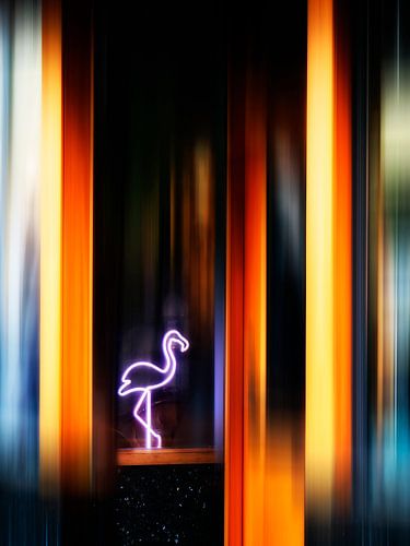 Flamingo Club