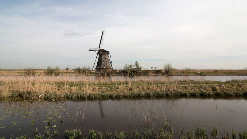 De molens van Kinderdijk by Noortje Muller