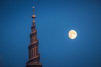 Moon Saviour