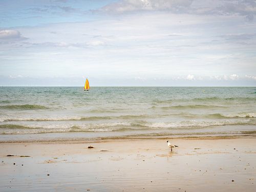 Spot de surf en Bretagne