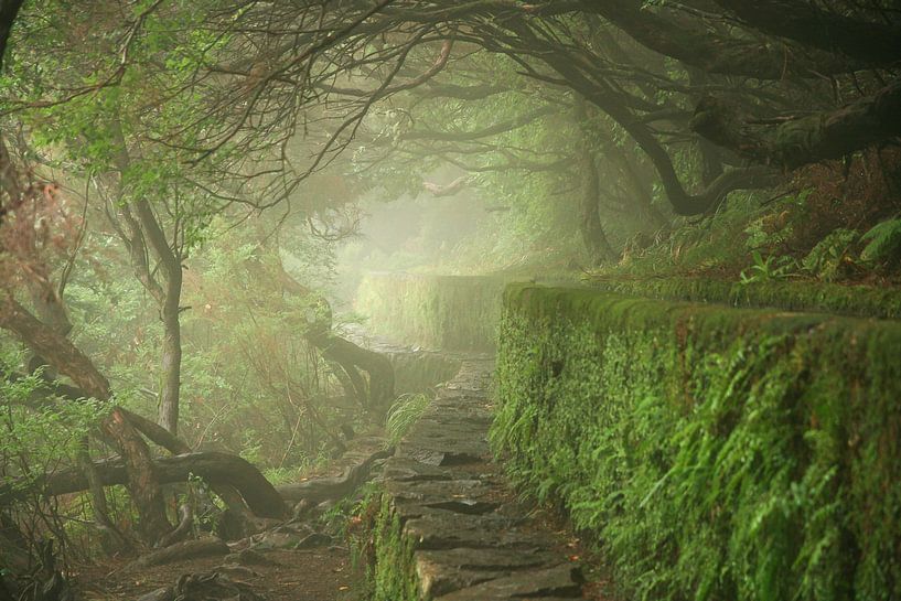 Misty Madeira par Gijs de Kruijf