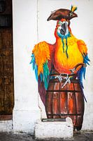 Parrot