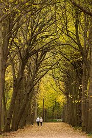 Wandelaars in het bos by Marcel Klootwijk