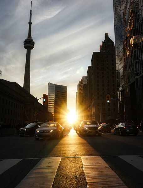 Toronto by Hello Pompoyo