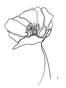 Butterblume einzeilige Zeichnung digital