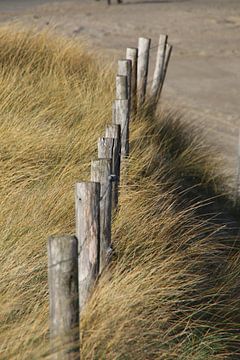 Fence on the dune by Corinna Vollertsen