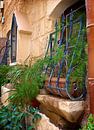 Malta Rabat Pregnant window van Ad Hermans thumbnail