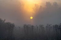 Lever du soleil1