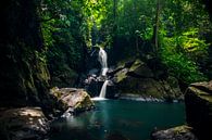 Sumatra waterval, tropical waterfall van Corrine Ponsen thumbnail