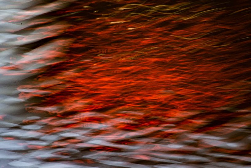 A splash of red by Brenda bonte