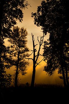 Sonnenaufgang Wellenseind NB