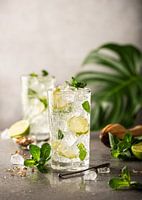 Mojito Cocktail met limoen en munt in longdrinkglas
