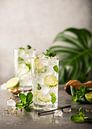 Mojito Cocktail met limoen en munt in longdrinkglas van Iryna Melnyk thumbnail