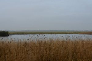  Broekpolder Ansicht Maasland