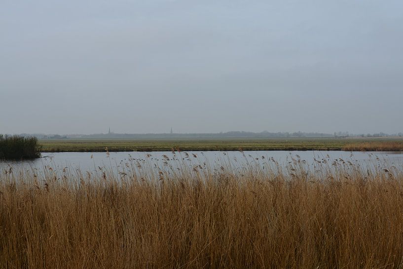 Broekpolder uitzicht op Maasland van FotoGraaG Hanneke