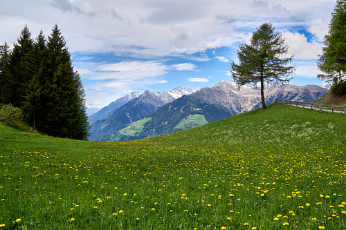 Op de Meraner Höhenweg in Zuid-Tirol