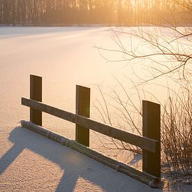 winterlandschap van Maurice van Dalfsen