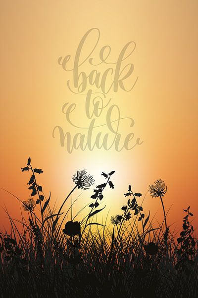 Back to Nature van Harry Hadders Design
