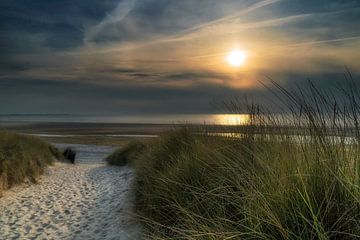 Sand Trail by Joachim Neumann
