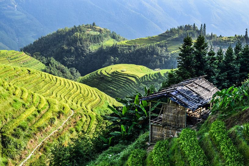 Longji, China - I van Jarne Buttiens