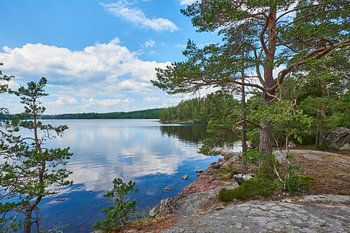 Zweeds landschap 182